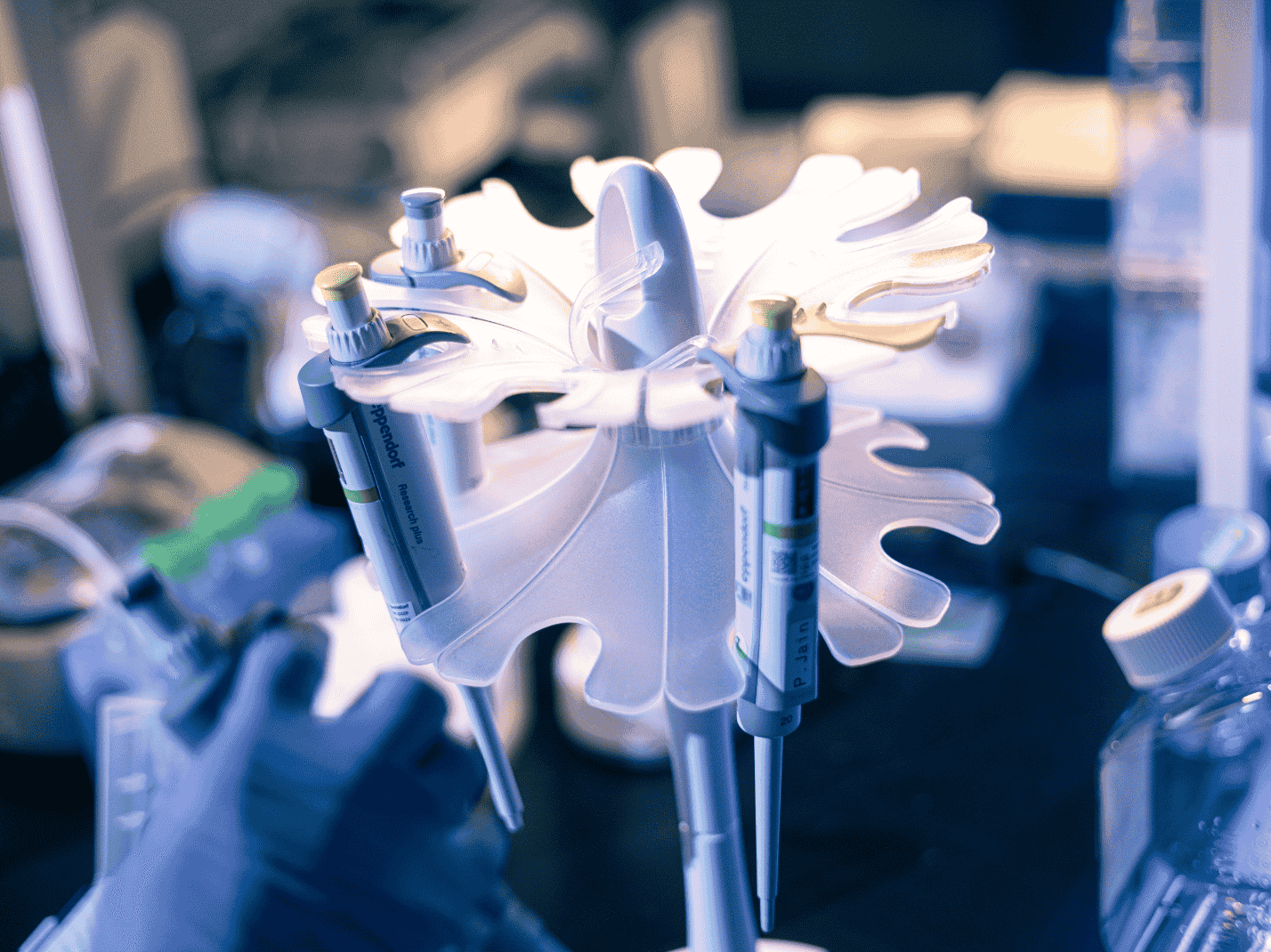 Laboratory equipment with pipettes organized