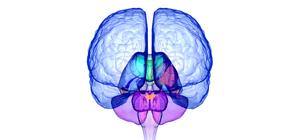 Neurodex neuron-derived exosomes