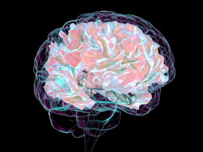 Digital illustration of the human brain highlighting protein aggregation, representing TDP-43 pathology in ALS and neurodegeneration