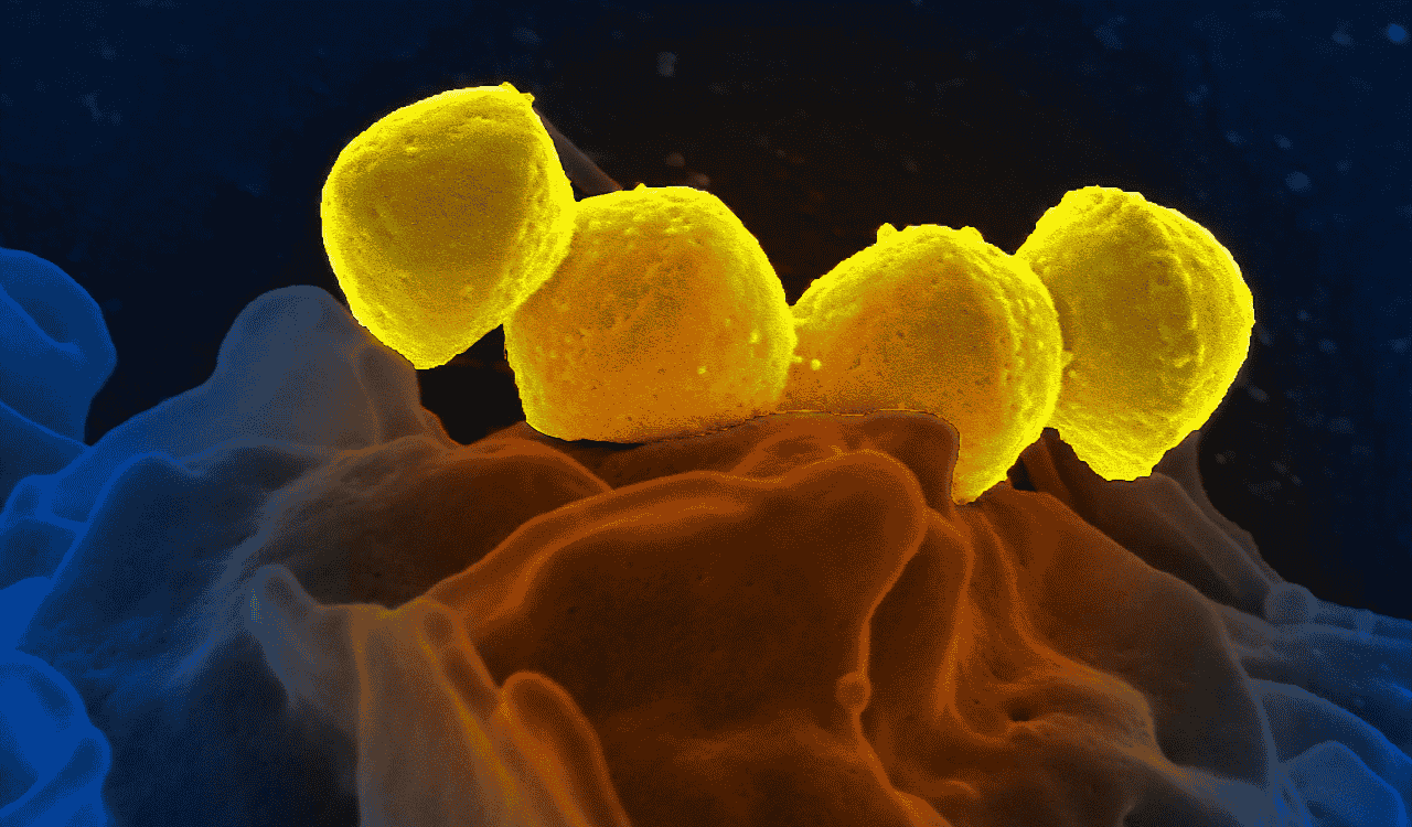 Understanding Biomarker Analysis in Medicine