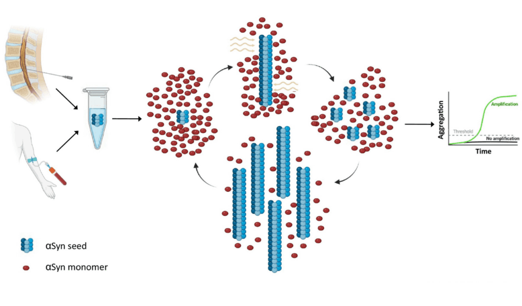 a-synuclein assay