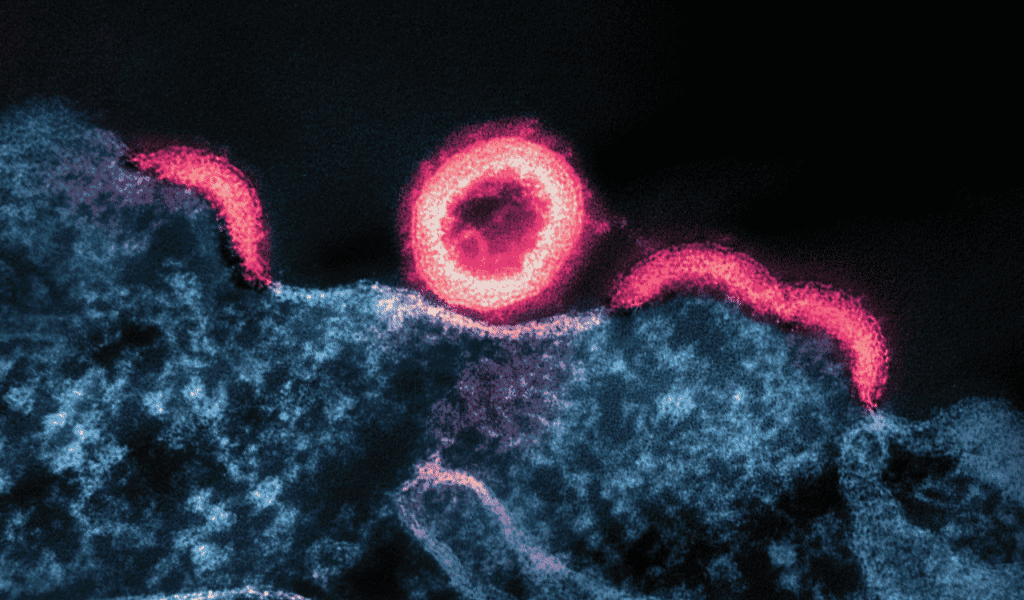 Next-Generation Biomarkers for Neurodegeneration