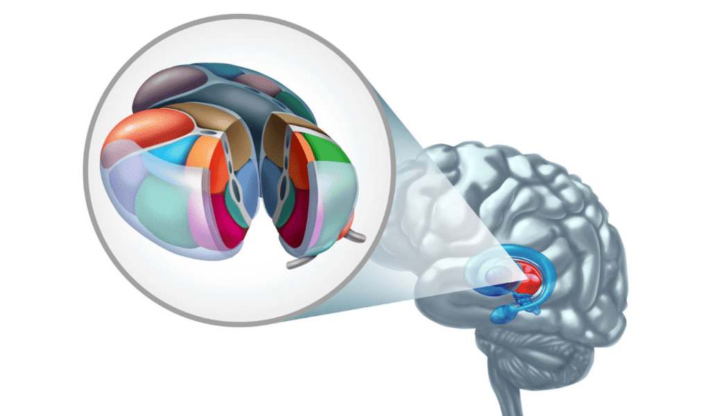 Huntington's Disease Latest Research, Biomarker Discoveries, and Promising Treatments