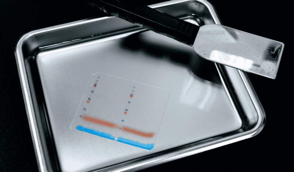 Protein Simple Jess A Guide to Automated Western Blotting