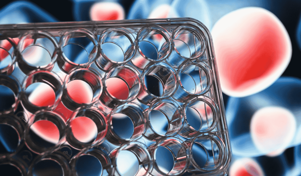 Cell Based Assay Services for Accelerated Drug Discovery