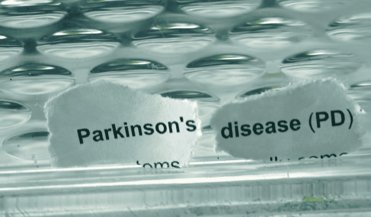 Alpha-Synuclein Biomarkers for Parkinson’s Disease and Lewy Body Dementia