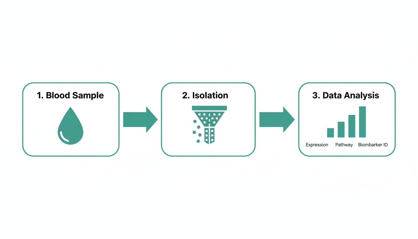 A workflow diagram showing three steps: blood sample, isolation, and data analysis with expression, pathway, and biomarker ID.