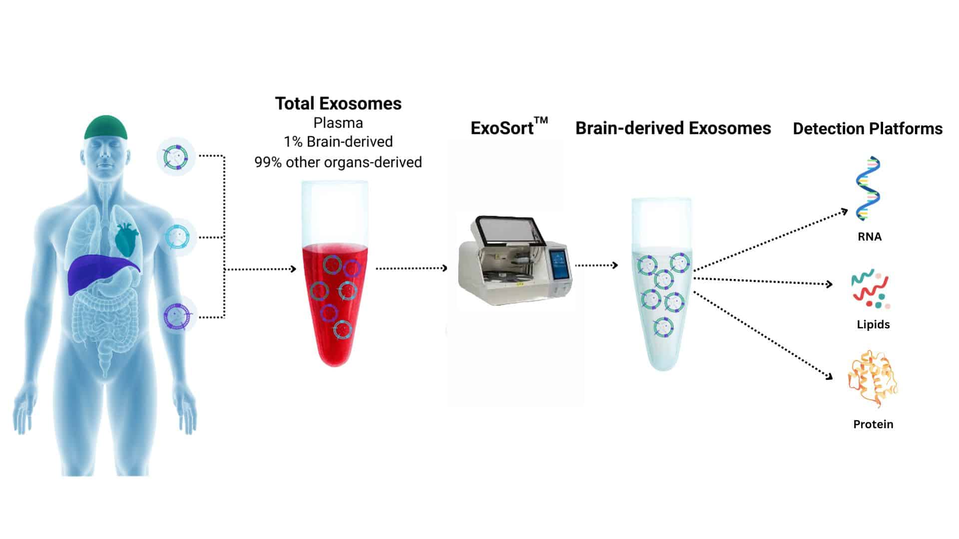 Detection platforms in the Neurodex laboratory