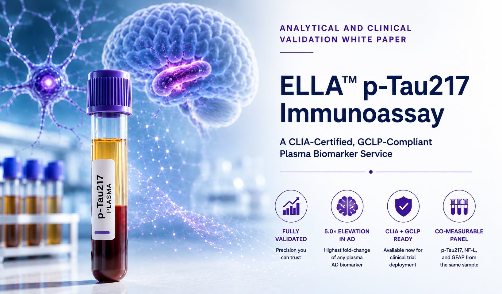 Modern scientific illustration showing a plasma blood collection tube labeled p-Tau217 alongside a human brain and neuronal network, representing the analytical and clinical validation of the ELLA™ p-Tau217 immunoassay for Alzheimer's disease biomarker testing.