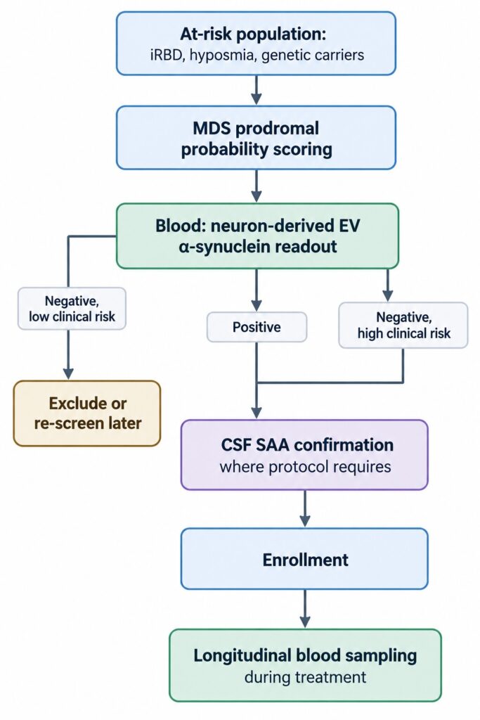 Flowchart illustrating a tiered screening strategy for prodromal Parkinson’s disease clinical trials using neuron-derived extracellular vesicle alpha-synuclein blood biomarkers, MDS probability scoring, and CSF seed amplification assay confirmation.