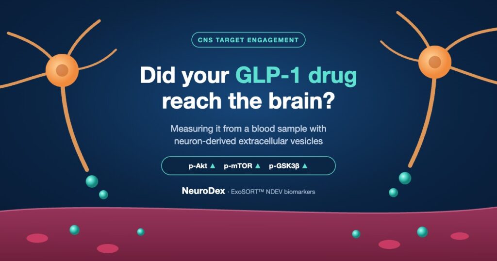 Illustration of neurons releasing extracellular vesicles into the bloodstream, with increased phosphorylated Akt, mTOR and GSK3β as a blood-based readout of GLP-1 CNS target engagement