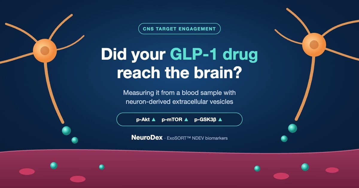 Illustration of neurons releasing extracellular vesicles into the bloodstream, with increased phosphorylated Akt, mTOR and GSK3β as a blood-based readout of GLP-1 CNS target engagement