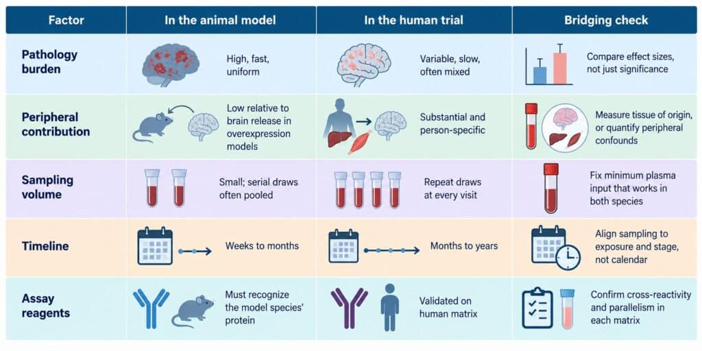 Comparison of five factors affecting preclinical CNS biomarker translation from animal models to human trials, with recommended bridging checks.